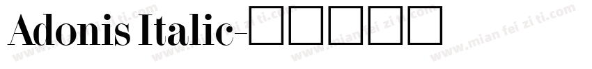 Adonis Italic字体转换